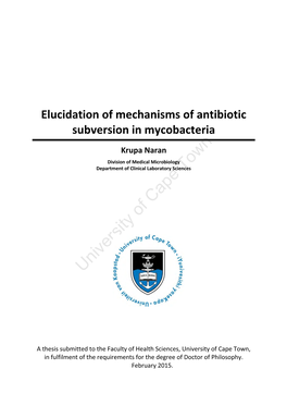 Elucidation of Mechanisms of Antibiotic Subversion in Mycobacteria
