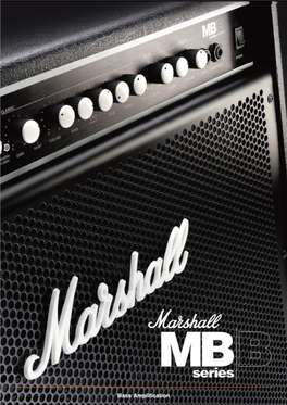 Bass Amplification MB450H