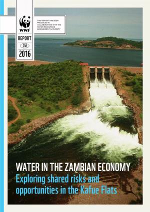 WATER in the ZAMBIAN ECONOMY Exploring Shared Risks and Opportunities in the Kafue Flats 2Nd Edition Written By: PEGASYS and WWF