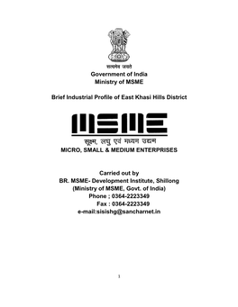 Lr;Eso T;Rs Government of India Ministry of MSME Brief Industrial