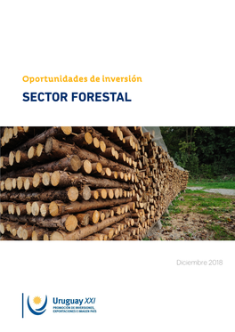 Sector Forestal