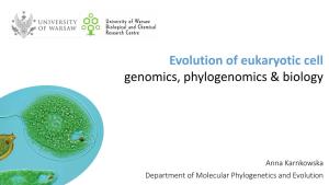 Evolution of Eukaryotic Cell Genomics, Phylogenomics & Biology