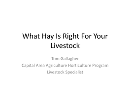 What Hay Is Right for Your Livestock