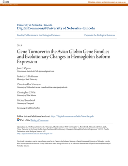 Gene Turnover in the Avian Globin Gene Families and Evolutionary Changes in Hemoglobin Isoform Expression Juan C