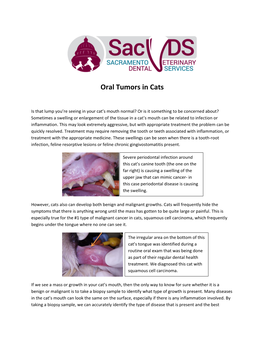 Oral Tumors in Cats