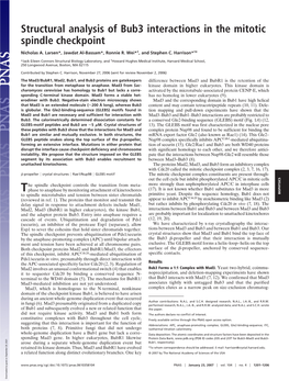 Structural Analysis of Bub3 Interactions in the Mitotic Spindle Checkpoint