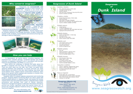 Dunk Island Seagrass Brochure