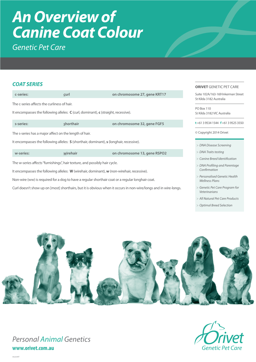 An Overview of Canine Coat Colour Genetic Pet Care