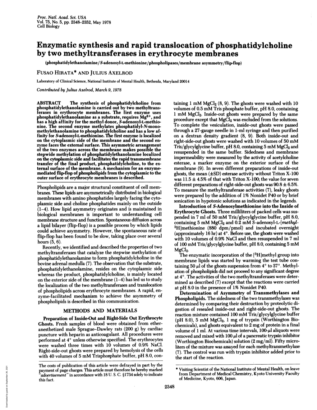 Enzymatic Synthesis and Rapid Translocation Of