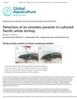 Detection of an Amoebic Parasite in Cultured Paci C White Shrimp
