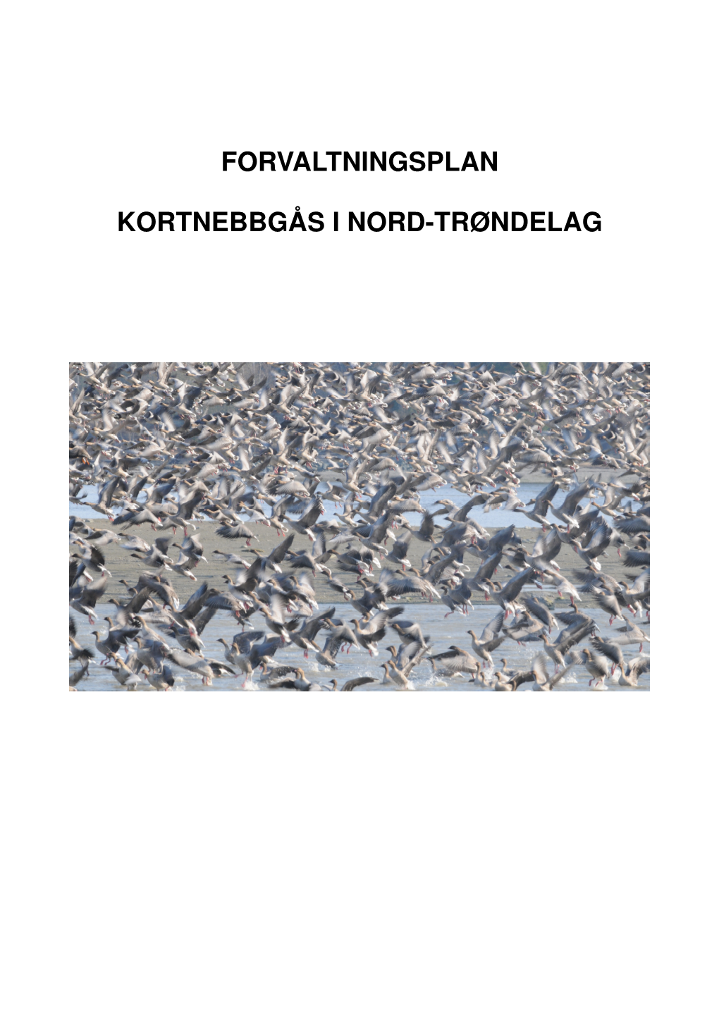 Forvaltningsplan Kortnebbgås I Nord