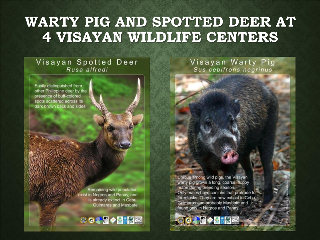 Visayan Warty Pig and Spotted Deer Populations in the West Visayan