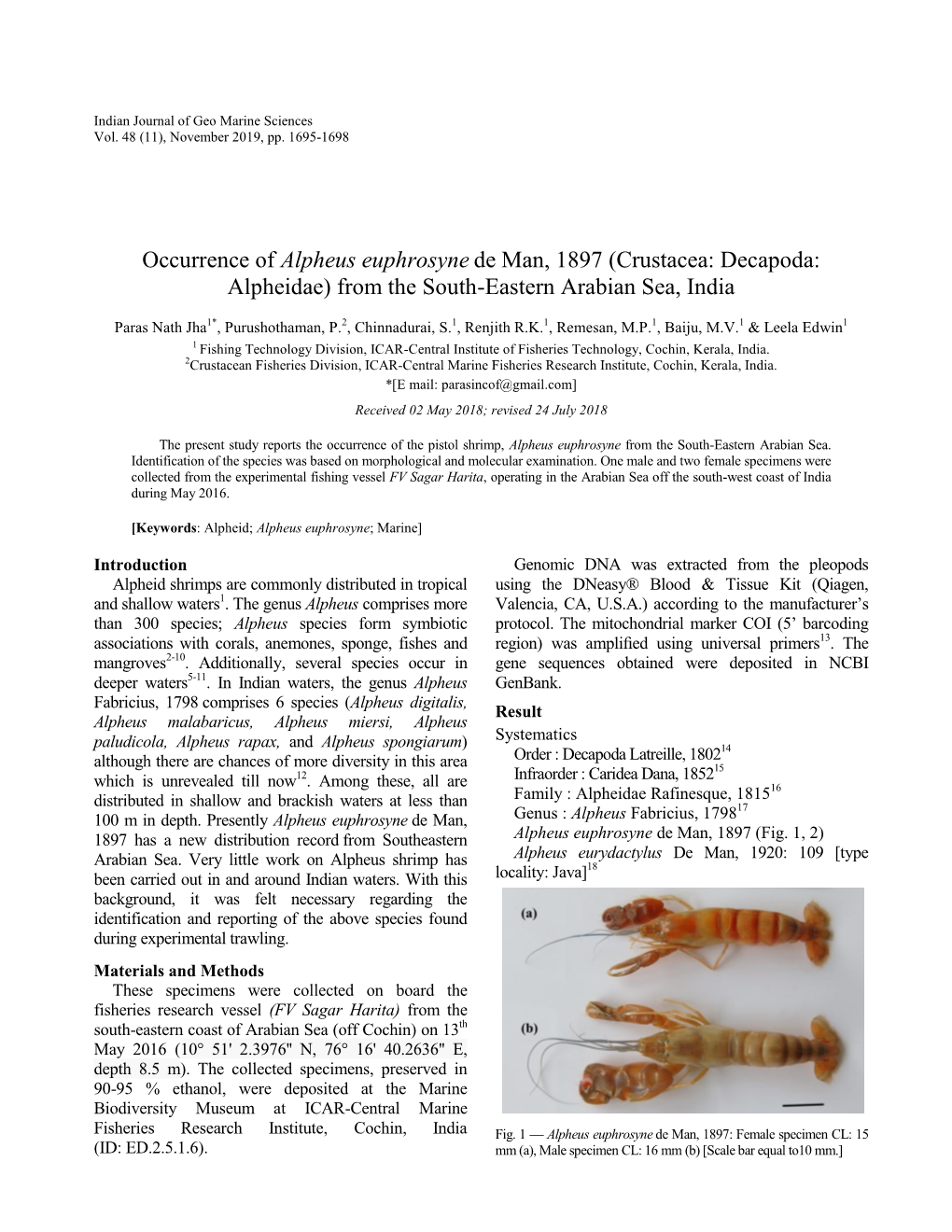 Alpheus Euphrosyne De Man, 1897 (Crustacea: Decapoda: Alpheidae) from the South-Eastern Arabian Sea, India