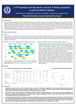 Y-STR Haplotypes and the Genetic Structure of Pathan Populations in FATA and NWFP of Pakistan