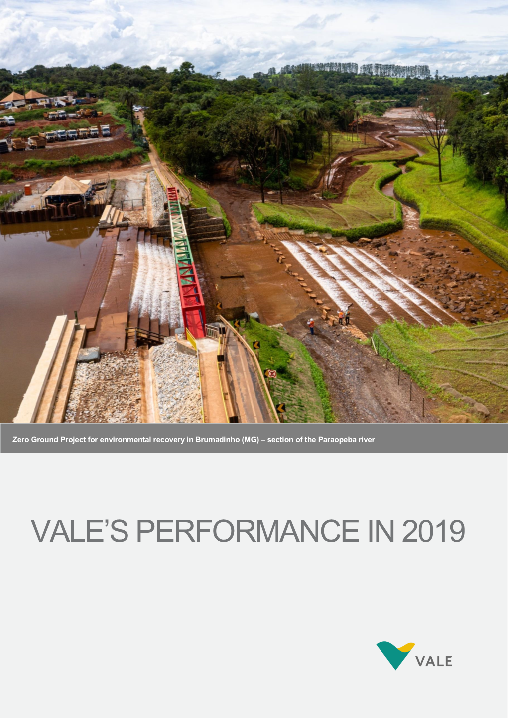 Vale's Performance in 2019