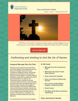 Confronting and Working to End the Sin of Racism