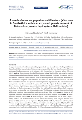 A New Leafminer on Grapevine and Rhoicissus (Vitaceae) in South