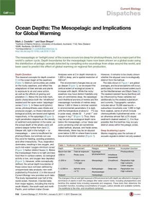 Ocean Depths: the Mesopelagic and Implications for Global Warming