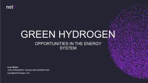 Green Hydrogen Opportunities in the Energy System