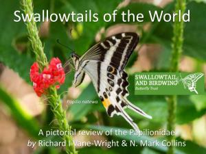 Swallowtails of the World