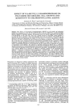 (N-BUTYL)-I,3-DIAMINOPROPANE on POLYAMINE METABOLISM, CELL GROWTH and SENSITIVITY to CHLOROETHYLATING AGENTS