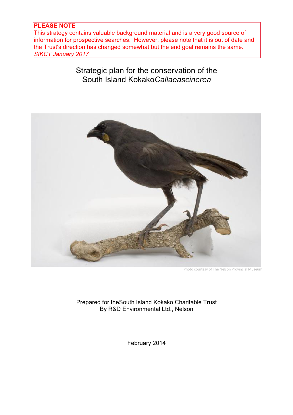 Strategic Plan for the Conservation of the South Island Kokakocallaeascinerea