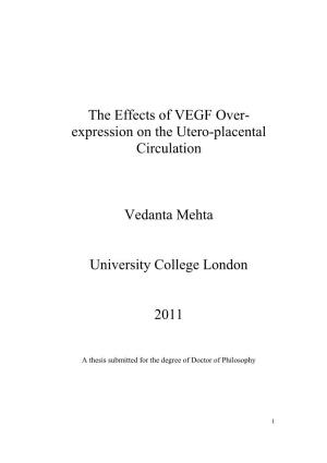 The Effects of VEGF Overexpression on the Utero-Placental Circulation