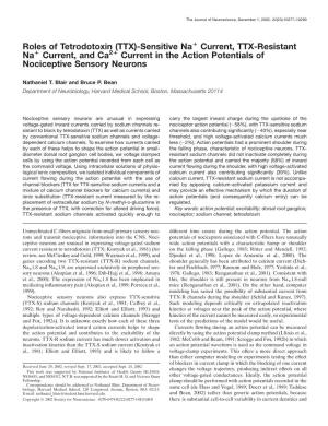 Current, TTX-Resistant Na؉ Current, and Ca2؉ Current in the Action Potentials of Nociceptive Sensory Neurons