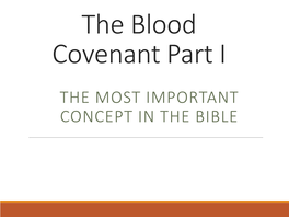 The Blood Covenant Part I