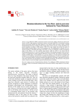 Biomineralization in the Sea Hare Aplysia Punctata Initiated by Nano-Dolomite