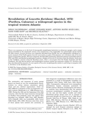 Revalidation of Leucetta Floridana (Porifera, Calcarea) 3