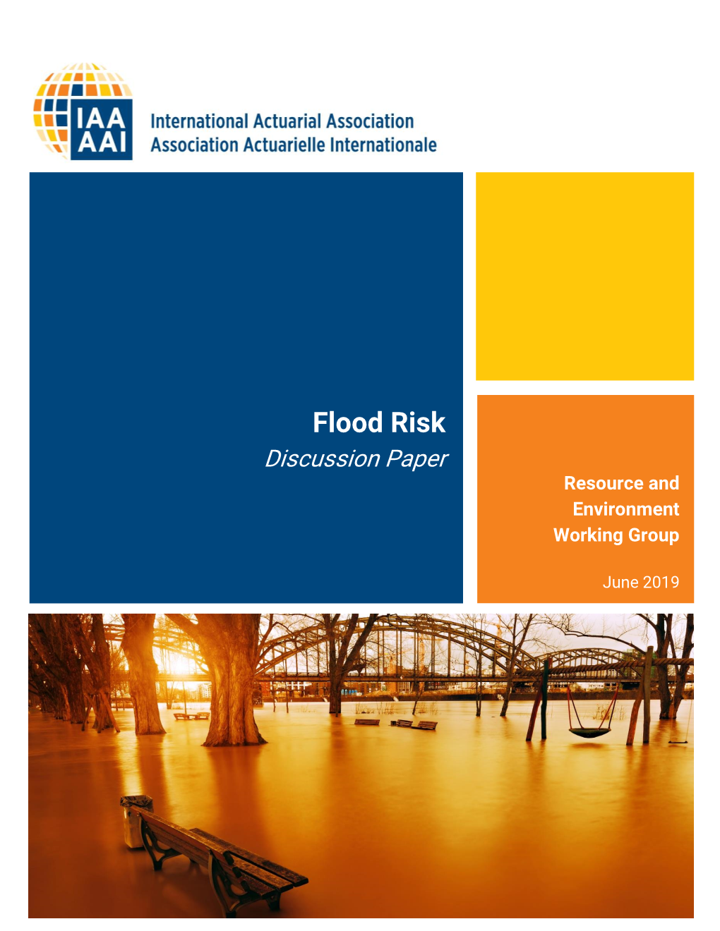 Flood Risk Discussion Paper Resource and Environment Working Group