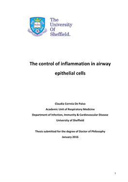 The Control of Inflammation in Airway Epithelial Cells