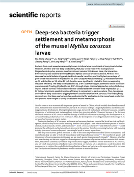 Deep-Sea Bacteria Trigger Settlement and Metamorphosis of the Mussel