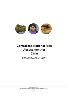 CENTRALIZED NATIONAL RISK ASSESSMENT for CHILE 2018 – 1 of 218 –