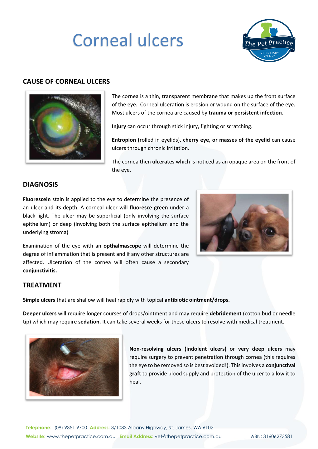 Corneal Ulcers