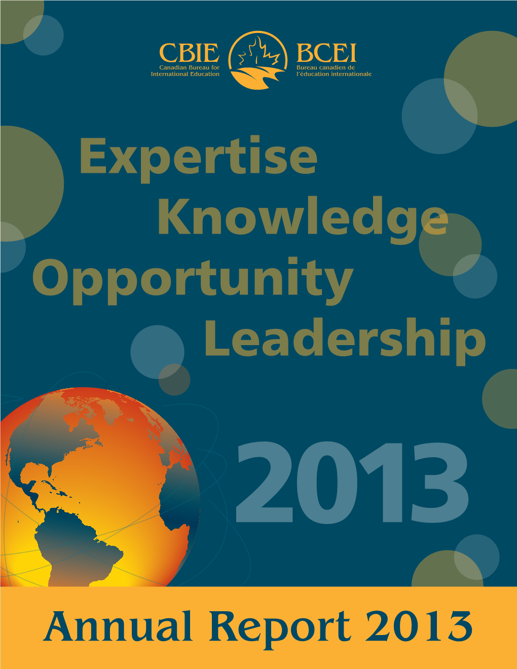 Expertise Knowledge Opportunity Leadership 2013