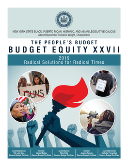 BUDGET EQUITY XXVII 2019 Radical Solutions for Radical Times