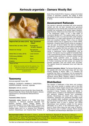 Kerivoula Argentata – Damara Woolly Bat