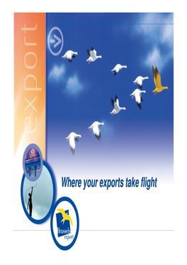 Where Your Exports Take Flight Brussels Is a Region