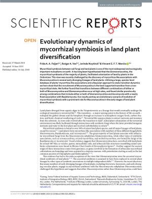 Evolutionary Dynamics of Mycorrhizal Symbiosis in Land Plant Diversification
