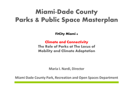 Miami-Dade County Parks & Public Space Masterplan
