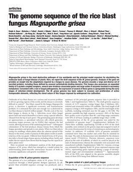 The Genome Sequence of the Rice Blast Fungus Magnaporthe Grisea