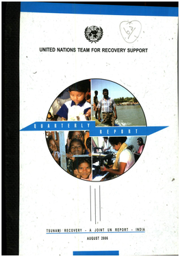 United Nations Team for Recovery Support