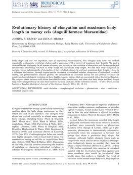 Evolutionary History of Elongation and Maximum Body Length in Moray Eels (Anguilliformes: Muraenidae)