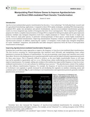 Manipulating Plant Histone Genes to Improve Agrobacterium- and Direct DNA-Mediated Plant Genetic Transformation