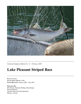 Lake Pleasant Striped Bass