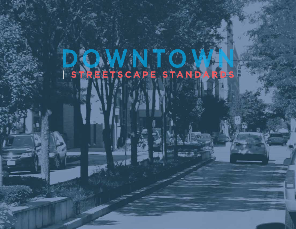 Downtown Streetscape Standards Through Focus Group Discussions, One-On-One Interviews, and Attendance at Public Meetings