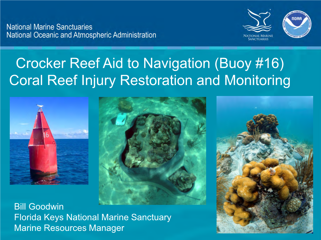 Coral Reef Ecosystem Restoration