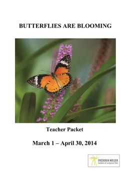 Exhibition Overview: Butterflies Are Blooming